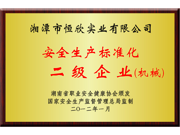 安全生產(chǎn)標(biāo)準(zhǔn)化二級(jí)企業(yè)(機(jī)械) 安全生產(chǎn)標(biāo)準(zhǔn)化二級(jí)企業(yè)(機(jī)械)