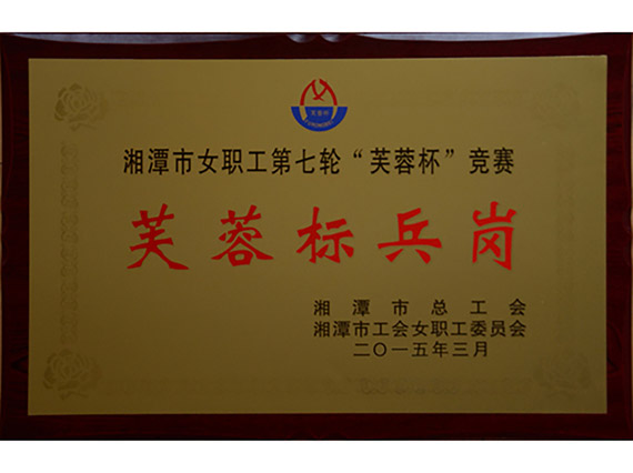 熱烈祝賀【韶山恒旺】榮獲“湘潭市芙蓉標兵崗”稱號！