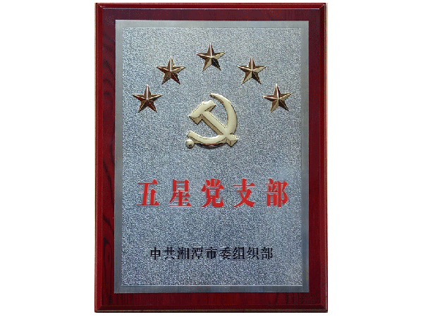 五星黨支部 五星黨支部